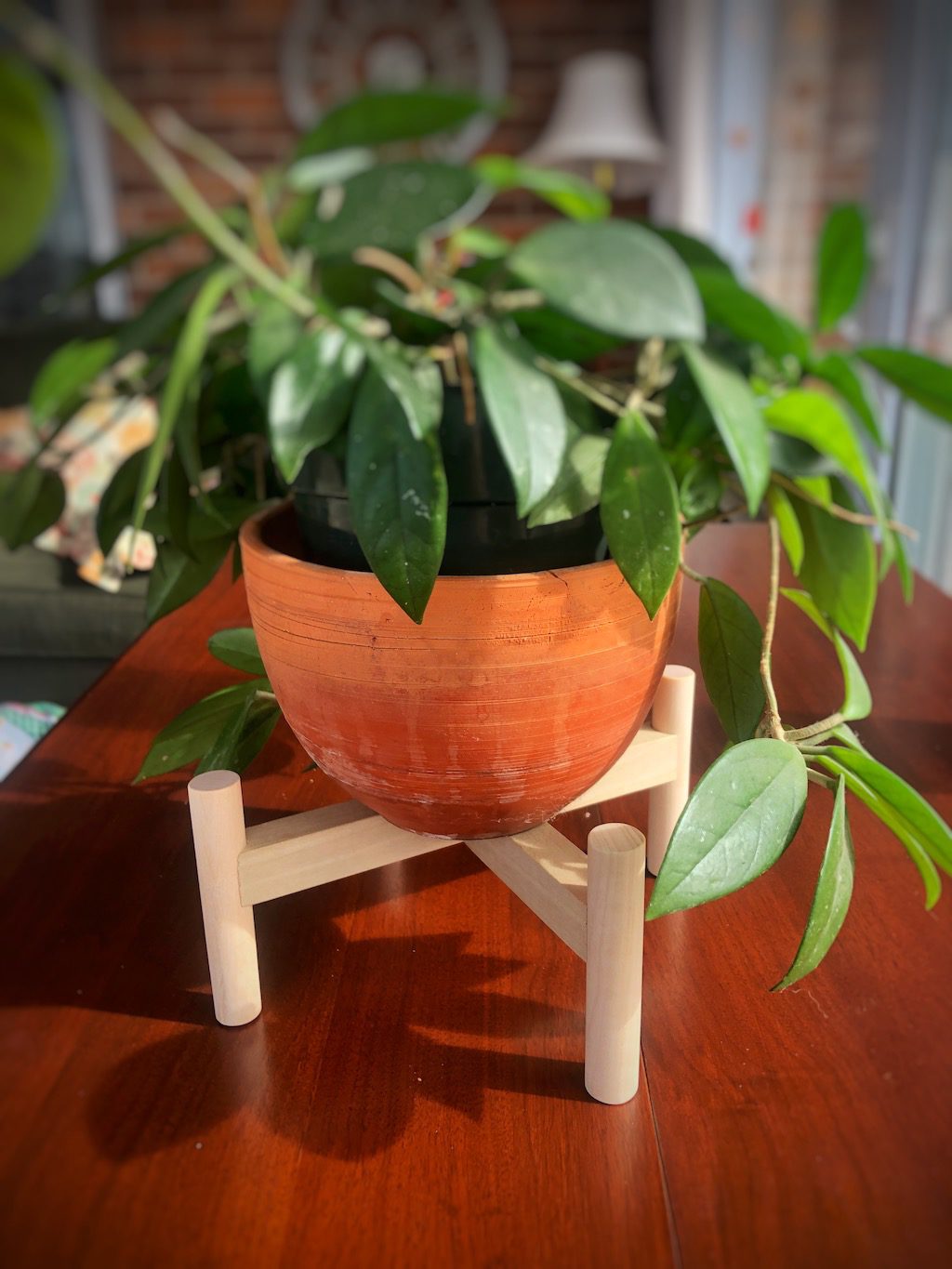 photo of the DIY modern plant stand