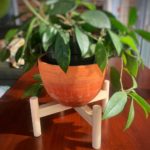 photo of the DIY modern plant stand